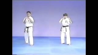 Kumite No Kamae + Mawashi Geri + Ushiro Mawashi Geri + Mae Geri + Mawashi Geri + Ushiro Mawashi Geri