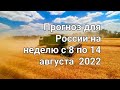 Прогноз для России  на неделю с 8 по 14  августа 2022.  Расклад- предсказание