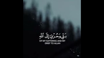 قرآن كريم بصوت القارئ طارق محمد /حالات واتساب قرآن /تلاوه جميله