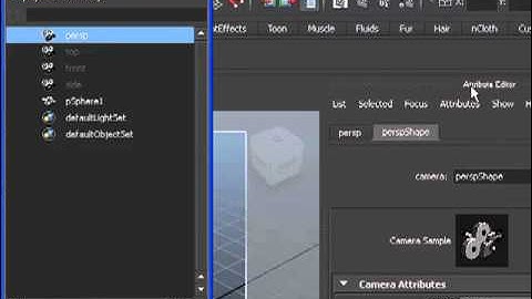 Changing Background to White Maya