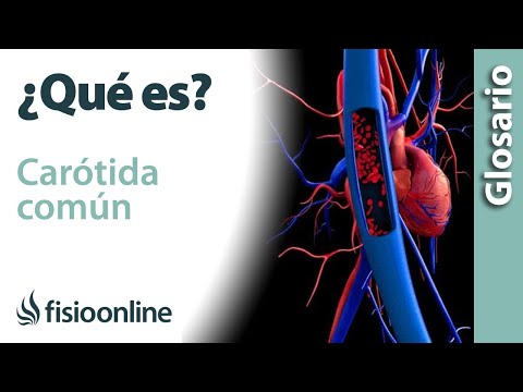 Video: ¿Dónde están las arterias extracraneales?