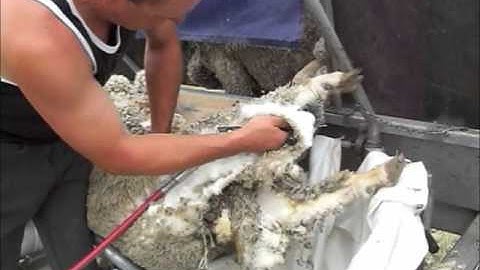 CrutchMaster. Living the Dream.