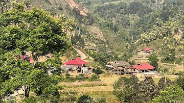 Bản người Tày ở những ngôi nhà Sàn, sinh sống bằng làm nông nghiệp, trồng Chè (Khám phá Bản Liền p1)