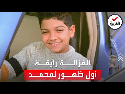 الغزاله الرايقه