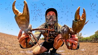 Thumbnail for SURVIVING Remote Australia - GIANT CRABS Catch and Cook (Millions of Flys)
