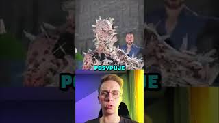 Najgorsze Tortury Na Świecie