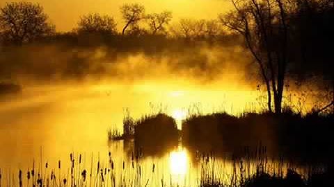 تلاوه خاشعه ومميزه - الشيخ سلمان العتيبي