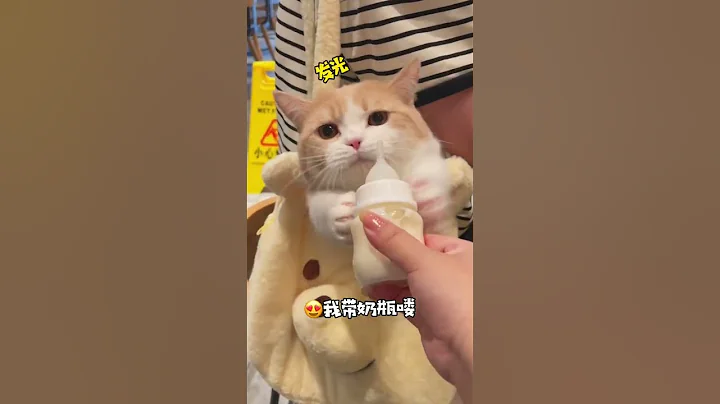 猫咪:呼吸!人:手段了得! #小奶猫的成长日记 #万物可爱计划 #猫猫真的好像个小宝宝