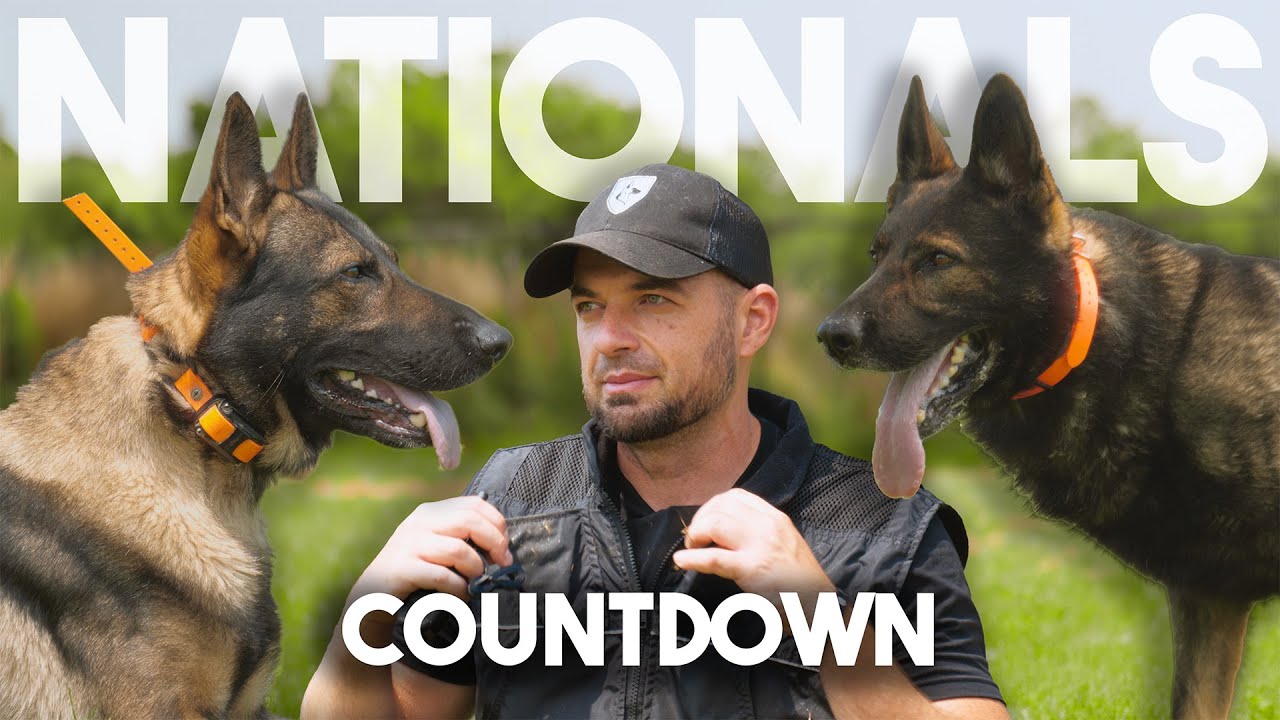 Gage & Chiko Road to Nationals part 1