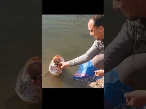 عندما تلتقى انت والوحش فى نفس الوقت 