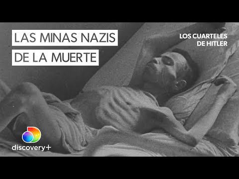 Vídeo: Alemanha paga US $ 1 bilhão pelo golpe do Holocausto novamente