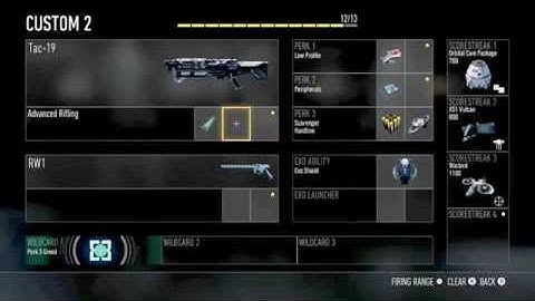 Call Of Duty Advanced Warfare New Class Loadouts And Character Customization (guns,perks etc.)