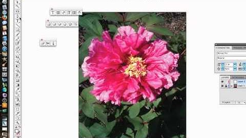 Even more on the Pen Tool