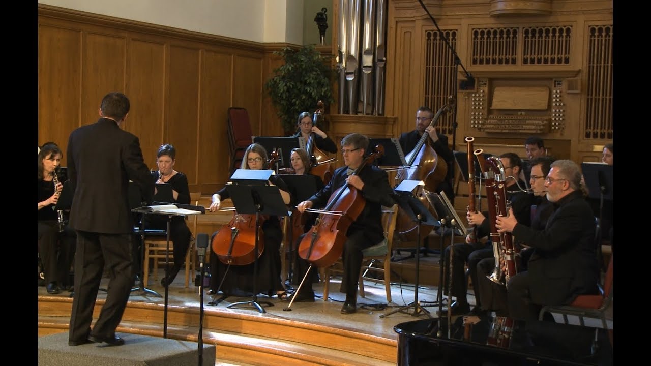 Dvorak Serenade in D Minor, op. 44 Chamber Orchestra of the Springs