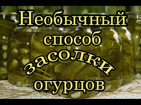 Салат с ранней капусты на зиму рецепт с фото