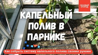 Как сделать капельный полив своими руками | Капельный полив  в теплице | Как собрать капельный полив