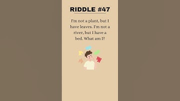 Riddle #47 #shorts