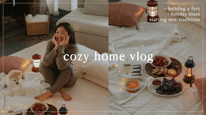 VLOG: dealing with holiday blues, building a fort,...