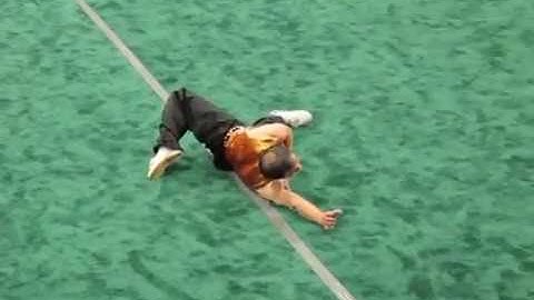 Master Hu - Wushu Drunken Monkey