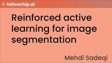 Reinforced active learning for image segmentation