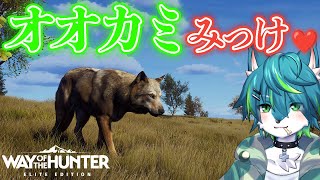 【way of the hunter】オオカミみっけ💗（ハンターシミュレーター）