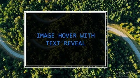 IMAGE HOVER WITH TEXT REVEAL | Text Reveal on Image Hover | PURE  CSS | HTML CSS TUTORIAL