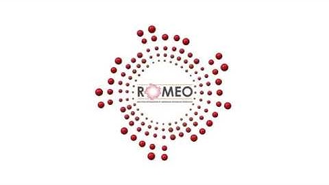ROMEO, Reactor Optimisation by Membrane Enhanced Operation (English)