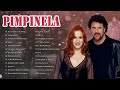 PIMPINELA Y RICARDO ARJONA SUS MÁS HERMOSA CANCIONES ROMANTICAS 90S DEL RECUERDO