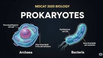 MDCAT 2025 Biology: Prokaryotes MCQs | Archaea vs Bacteria Explained