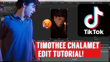 timothee chalamet TIK TOK edit tutorial