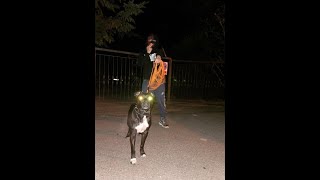 Sheder - Robale Prod. Santiago