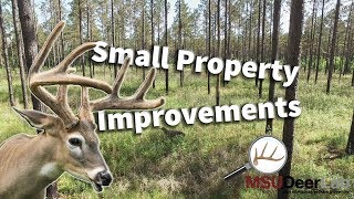Small Property Habitat Improvements