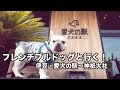 フレンチブルドッグと行く！伊豆・愛犬の駅〜神祇大社