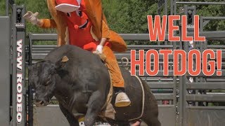 Dale on a bull in a Hot Dog suit - Rodeo Time 135