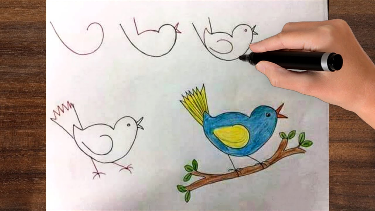 How To Draw And Coloring Talking Bird For Kids ! Bird Drawing Lesson ...