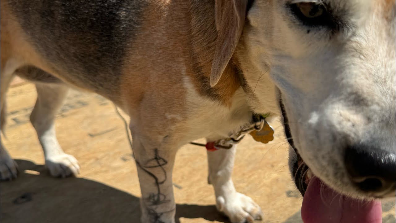 Q8: ‘What do you think about tattoos?’