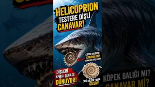 🚨Okyanusların Testere Ağızlı Kabusu!🚨