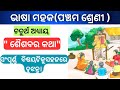Saisaba Ra Katha ।Class 5 Odia Chapter 4 Saisaba Ra Katha । Bhasamahak Class 5। Sikshya Sujoga।