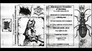 Asiratic Lithomancy (US) / Eternal Ice (Japan) - The Exquisite Dissonance of Morbidity (Split) 2025