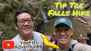 Tip Toe Falls Hike | Portola Redwoods State Park