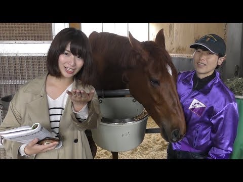 ヴィクトリアマイル 競馬界の女神 稲富菜穂がレッツゴードンキの前原玲奈助手を直撃 Youtube