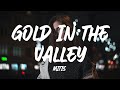 MitiS - Gold In The Valley (Lyrics) ft. Elle Vee