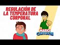 Regulación de la Temperatura Corporal