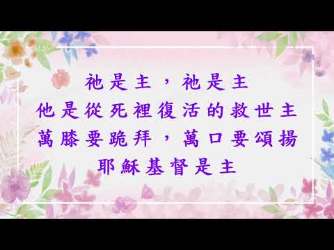 新歌頌揚76祂是主A