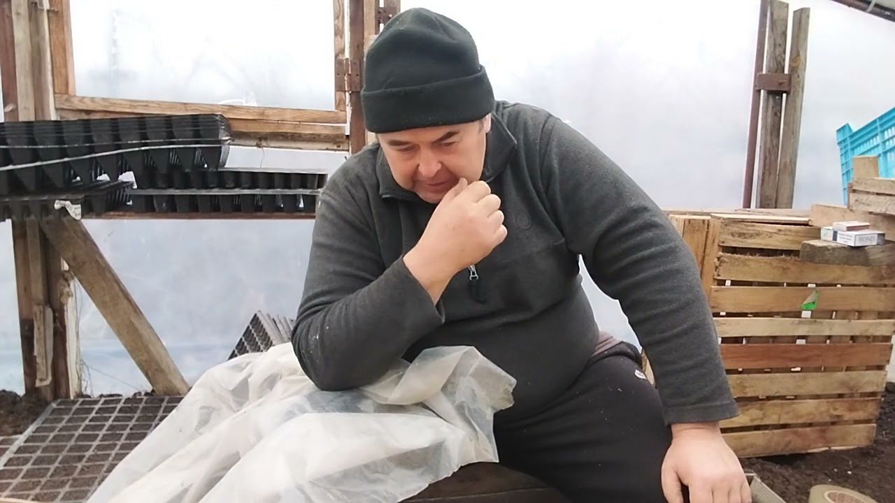 @НАСІННЯ ПОШТОЮ