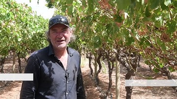 Andrew Durmanich case study | Department of Primary Industries and Regional Development