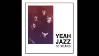 Yeah Jazz ‎– Probably This Winter (LP)