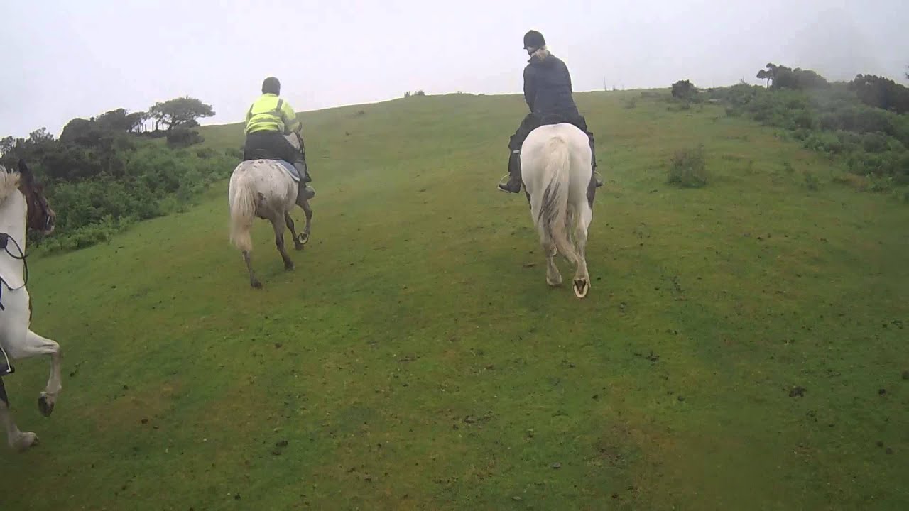 Riding Out From Hallagenna Stables St Breward Bodmin Moor Youtube