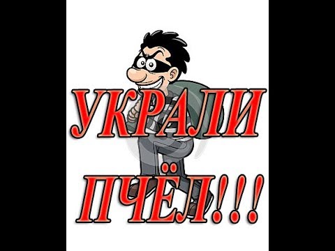ВНИМАНИЕ!!! ВОРУЮТ ПЧЕЛ!!!!!!!!!