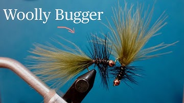 Woolly Bugger - Fly Tying for Beginners